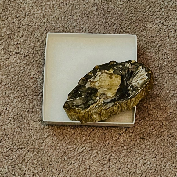 Petrified wood small slab fossil - Picture 5 of 6
